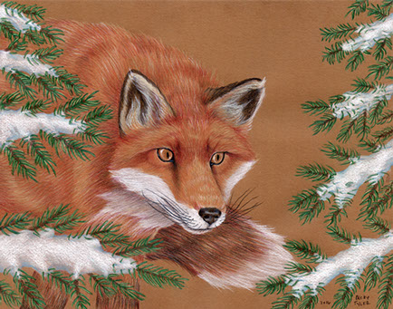 red-fox