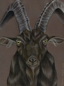 Black Phillip Goat