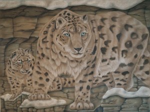 Snow Leopards