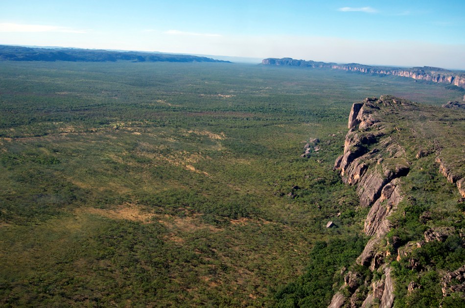 kakadu