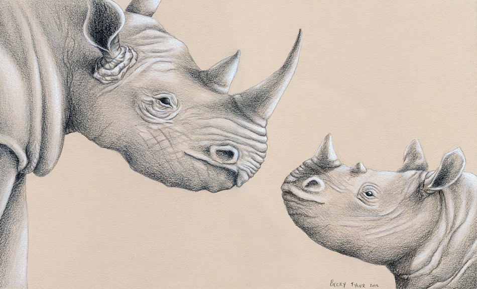 Rhino mom and child