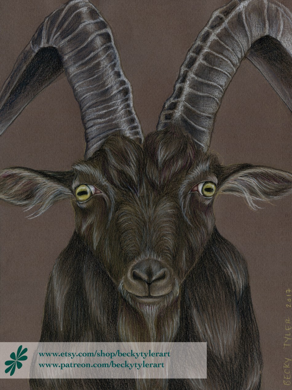black phillip goat