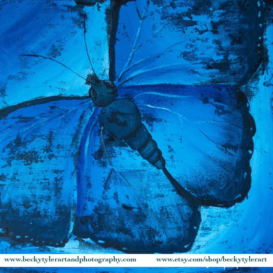 2020 12x12 Blue Butterfly